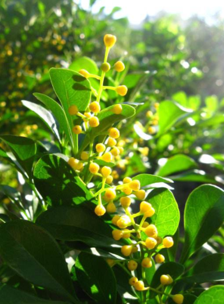 耐酸磚，盲道磚，陶瓷透水磚源頭生產(chǎn)廠家到底適不適合參加展會